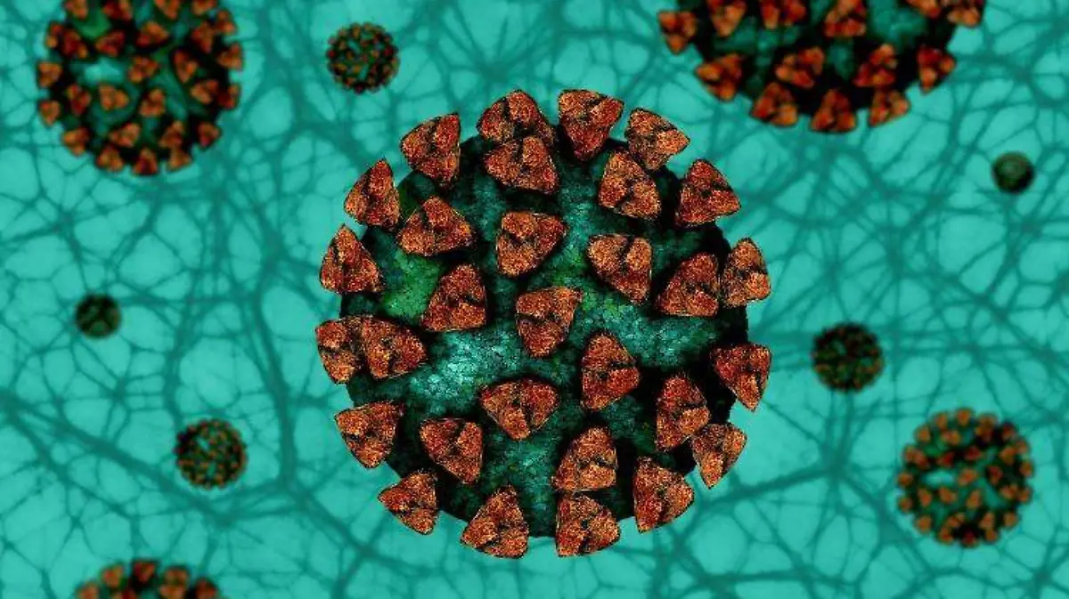 cepa coronavirus